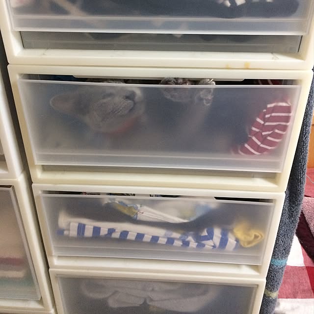 buchioさんの実例写真
