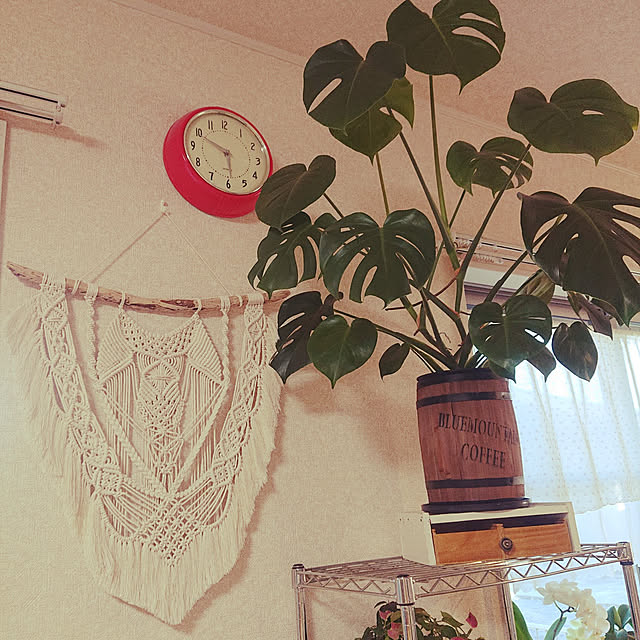 KOMARIN358さんの実例写真