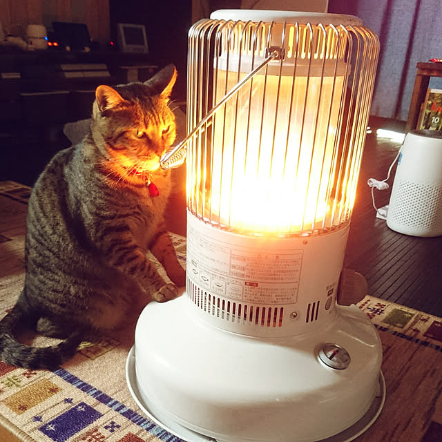 meguさんの実例写真