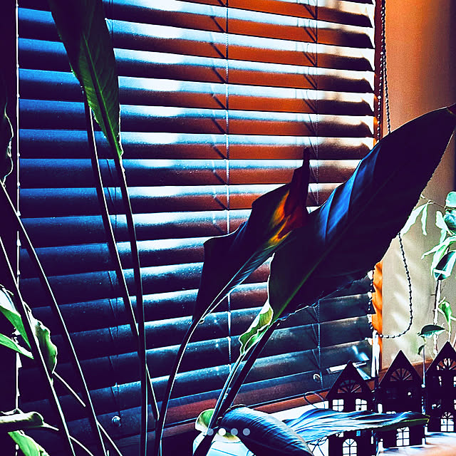 chacoさんの部屋