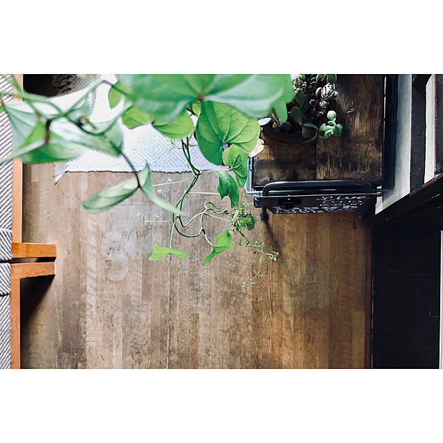 kao.320さんの実例写真