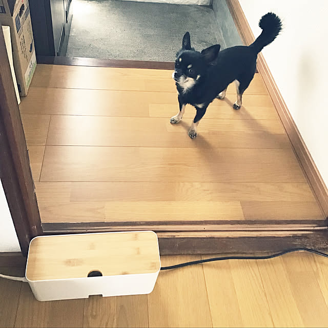 sakuさんの実例写真