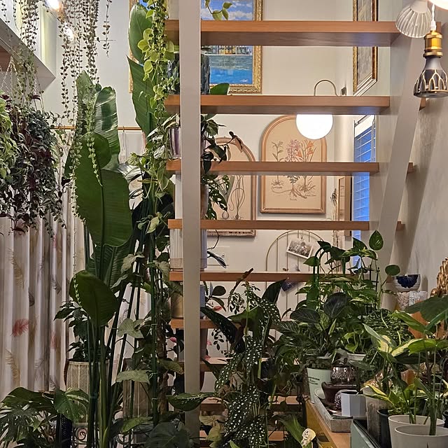 nonbiri_house_さんの部屋