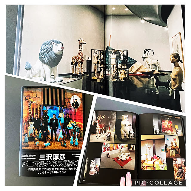 aureaさんの実例写真