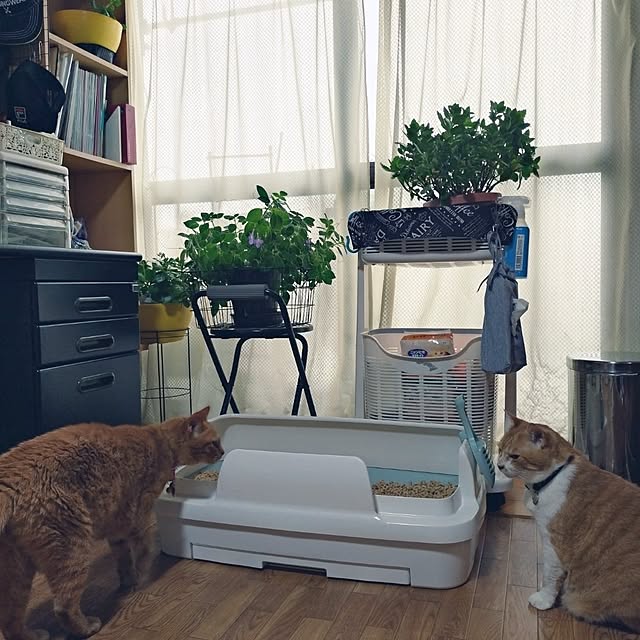 NOAHさんの部屋