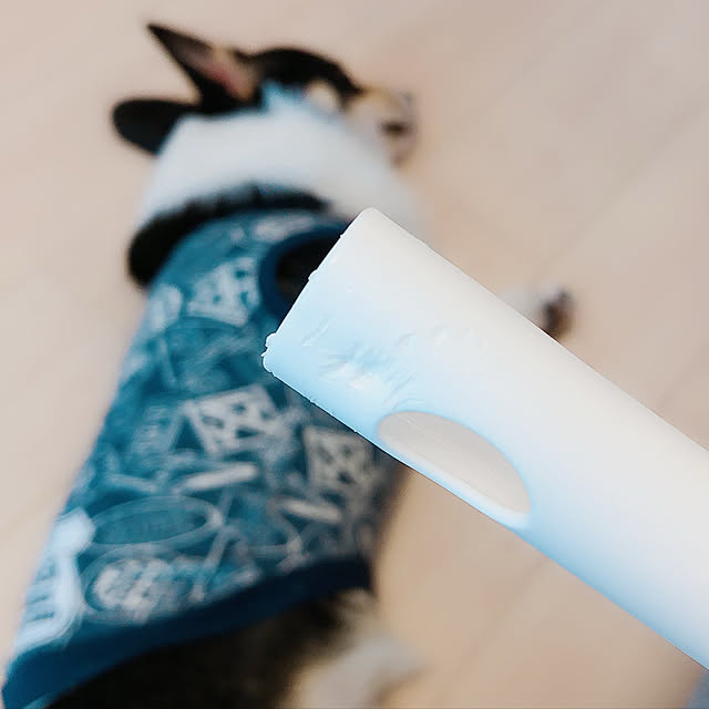 Ruiさんの実例写真
