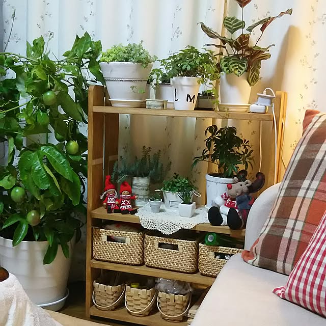 naopyiさんの実例写真