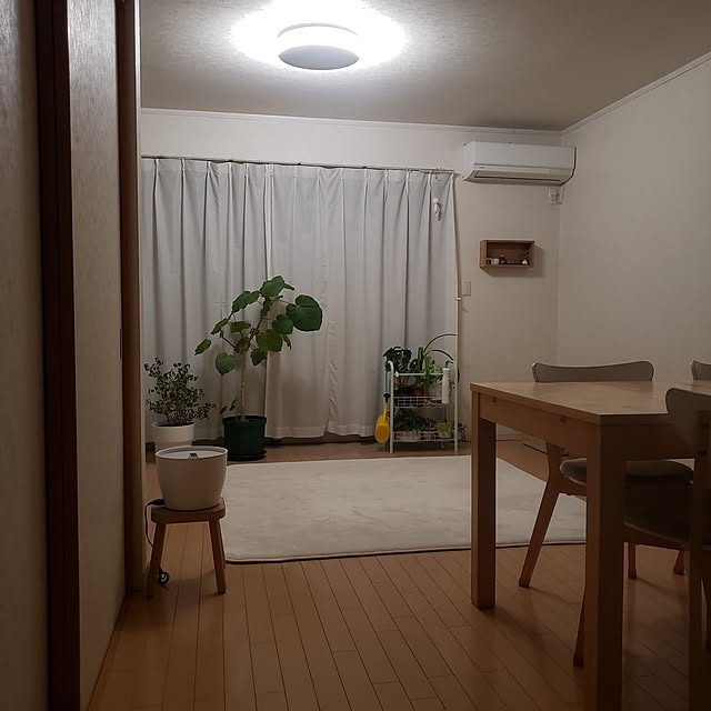 wanidaさんの部屋