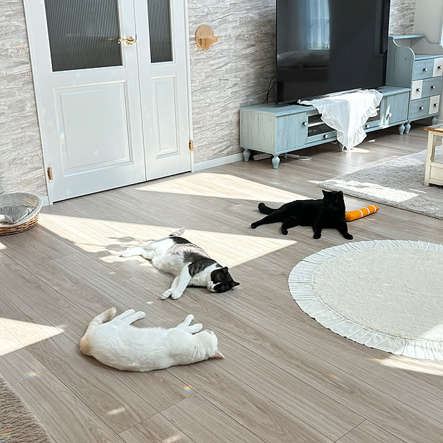 nyaaa14さんの実例写真
