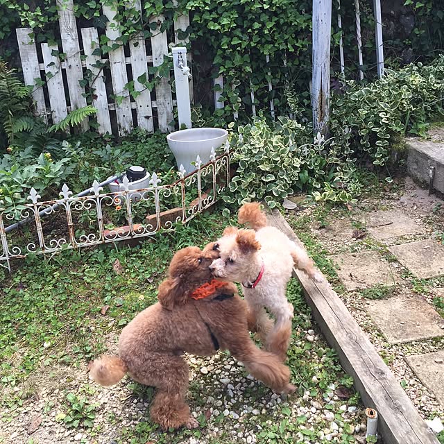 Naomiさんの実例写真
