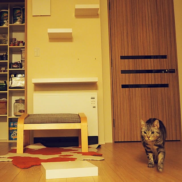 y.k.0123さんの実例写真