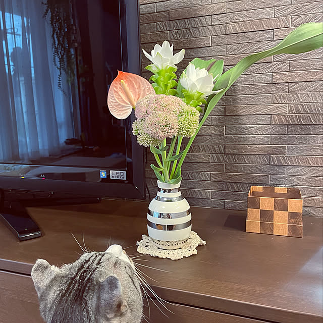ALPSさんの実例写真
