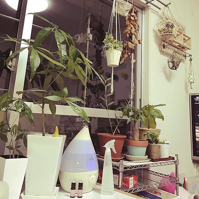 yuccoさんの実例写真