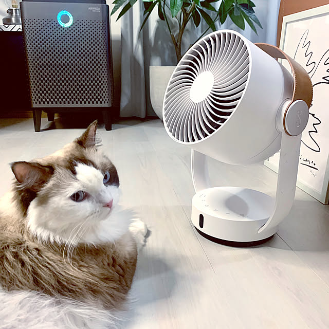 Micccaさんの部屋