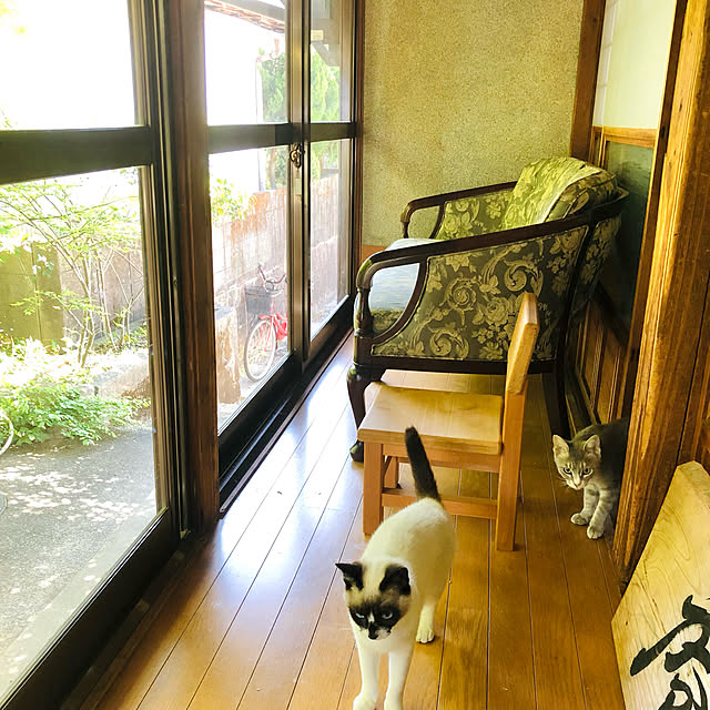 Oreoさんの実例写真