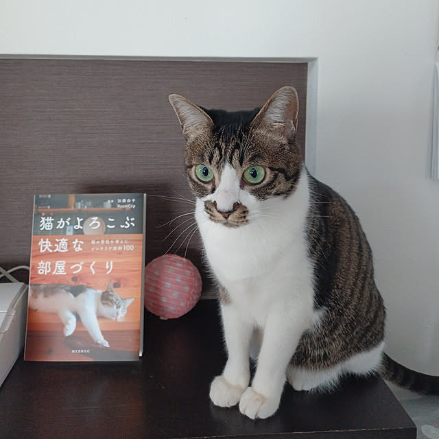 nrさんの実例写真