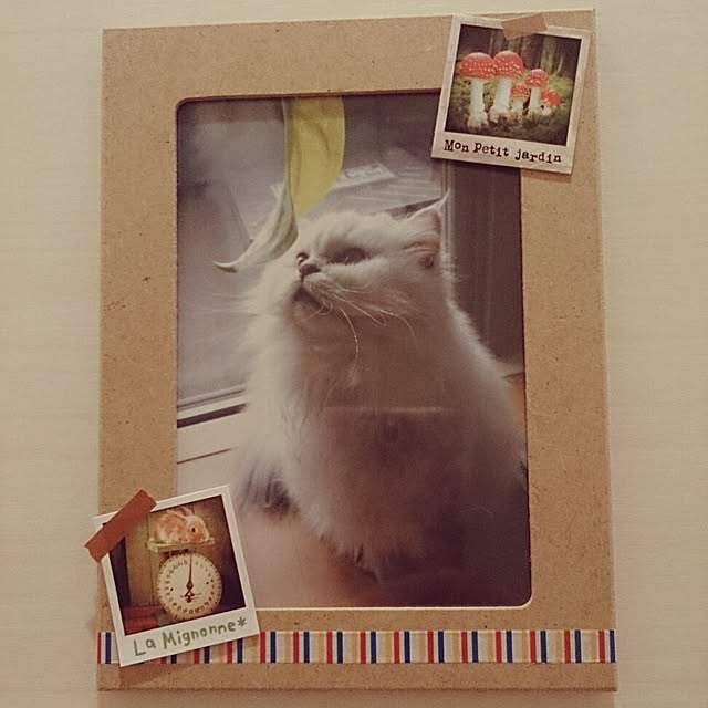 Asakoさんの実例写真
