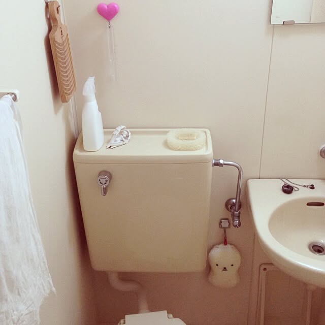 pi1noさんの実例写真