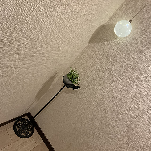 franderさんの実例写真