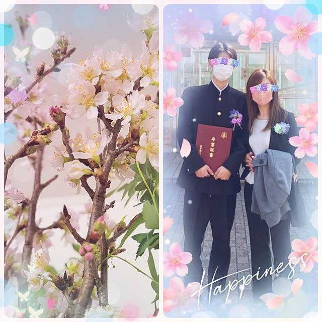 mimi828さんの実例写真