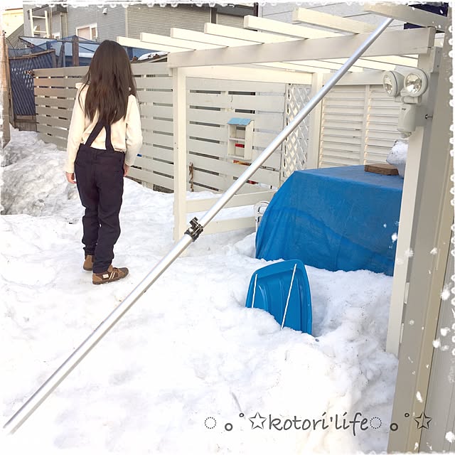 kotoriさんの実例写真