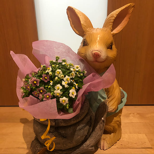 akkyさんの実例写真