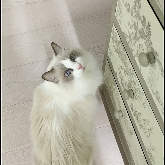 yuchiさんの実例写真