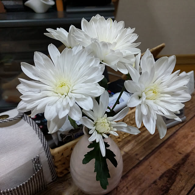 chelichanさんの実例写真