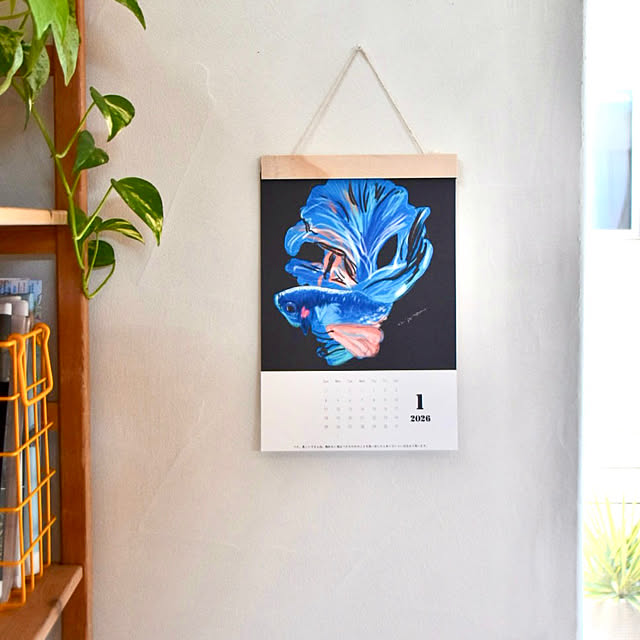 h_kiwさんの実例写真