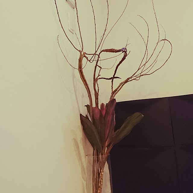 airisaさんの実例写真