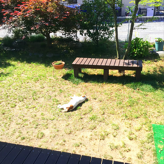 nanaさんの実例写真