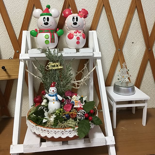 CATさんの実例写真