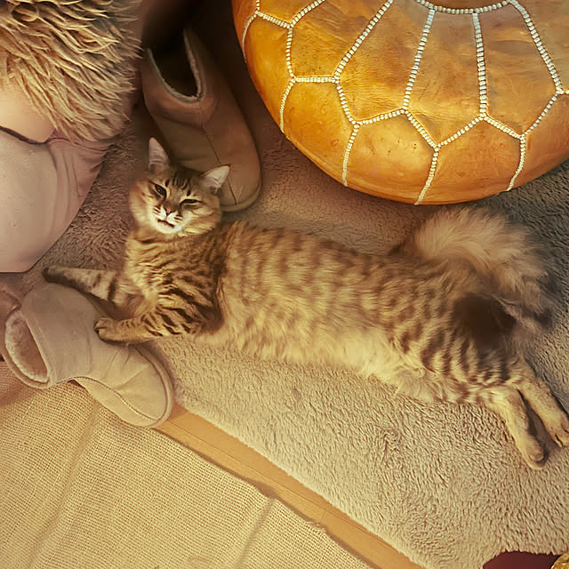 Mさんの実例写真