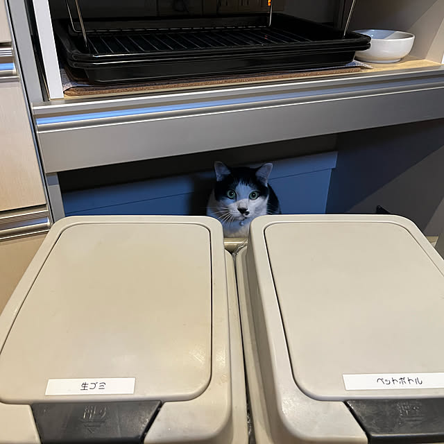 keito814さんの実例写真