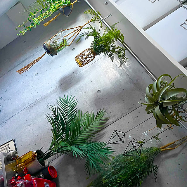 lplpさんの実例写真