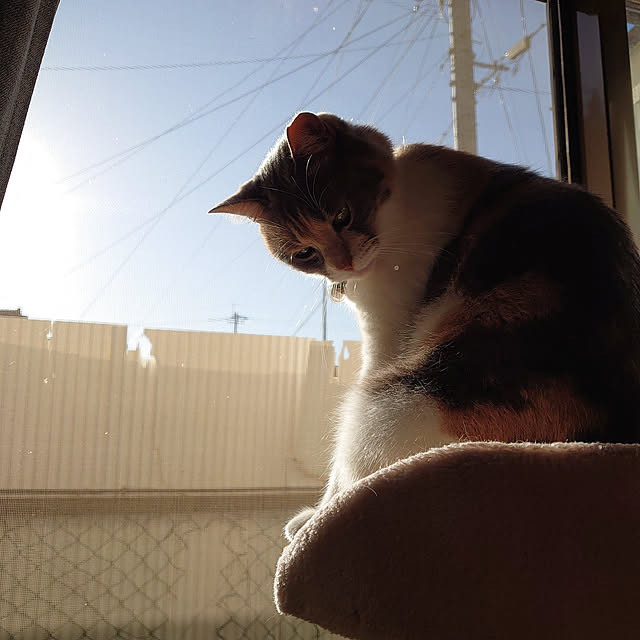 fukuさんの実例写真