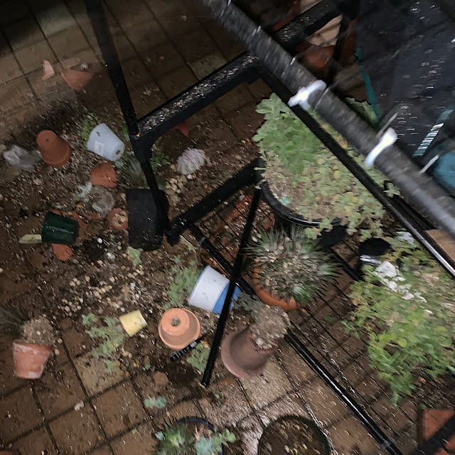 Aqettyさんの部屋
