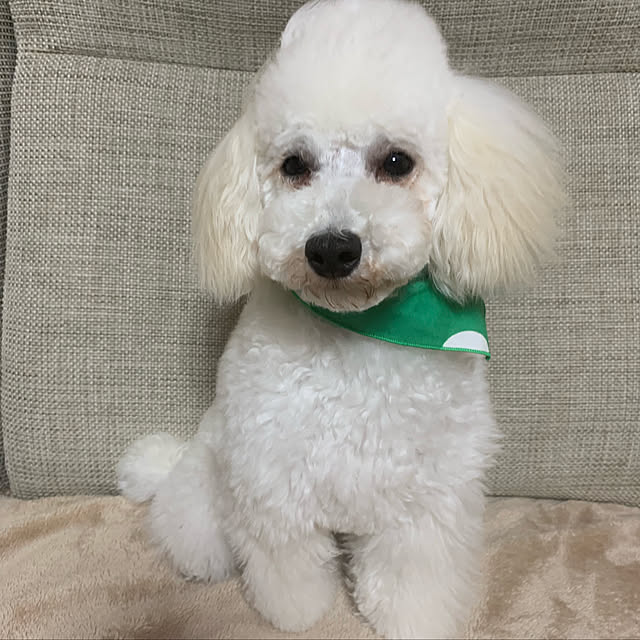 BUNさんの実例写真