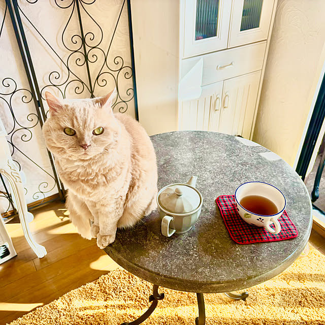 naokoさんの部屋