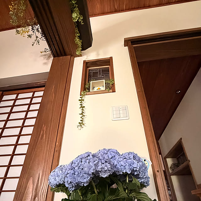 cotaさんの部屋