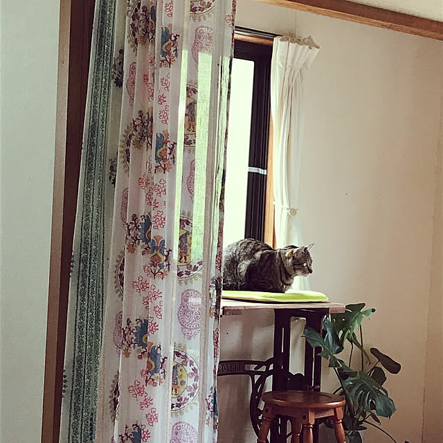 mikan161さんの実例写真