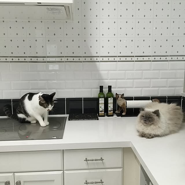 yuchiさんの実例写真
