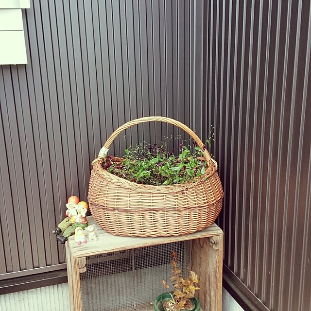 CHIHIROさんの実例写真