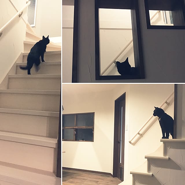 cocco0505さんの実例写真