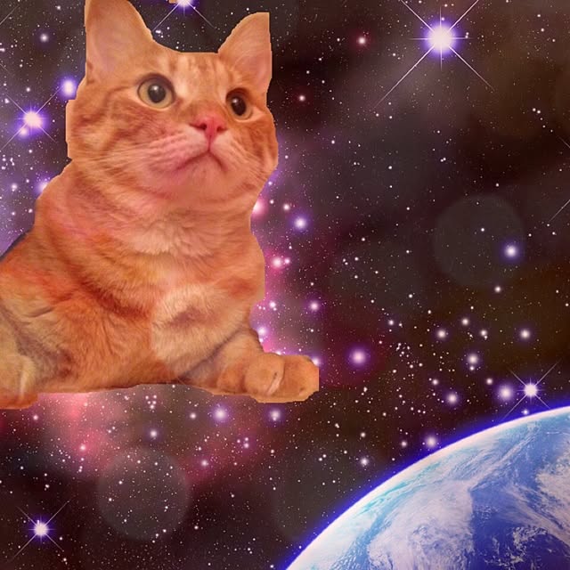 ohagiさんの実例写真