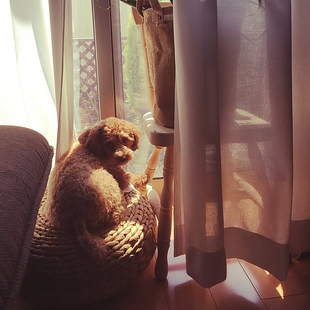 e-mo2さんの実例写真