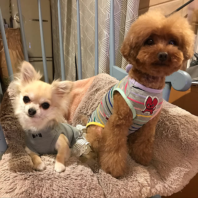 lotaさんの実例写真