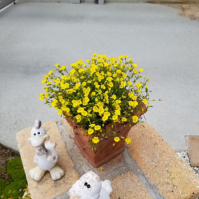 ayumiさんの実例写真
