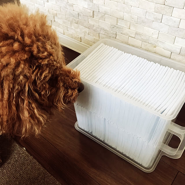 YoChiさんの実例写真