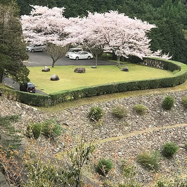 実例写真